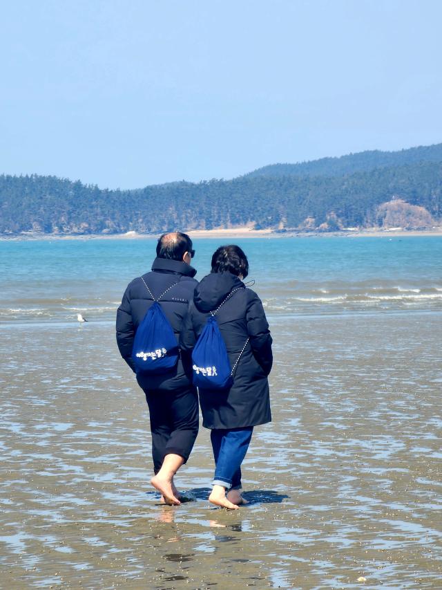 3월엔 여기로 참여 여행객들이 해변 맨발걷기를 하며 사색을 즐기고 있다 사진기수정 기자