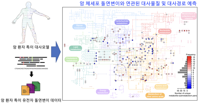 사진카이스트