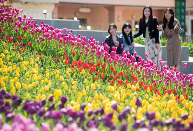 100여종 약 120만 송이 봄꽃이 만발하는 에버랜드 포시즌스가든 사진에버랜드