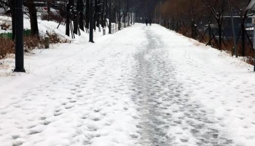 전국 비·눈 온다...강원도 최대 20㎝ 폭설 예고