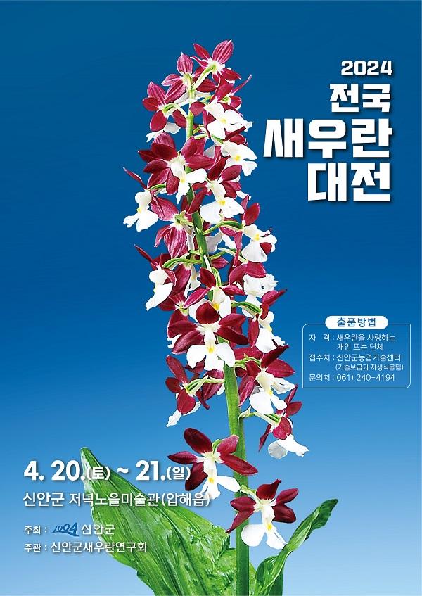 전남 신안군에서 대전과 동시에 개최되는 2024 전국 새우란 축제 포스터사진신안군