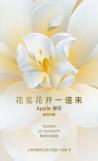 애플, 상하이에 아시아 최대 애플스토어 오픈...팀 쿡 직접 나서 구애