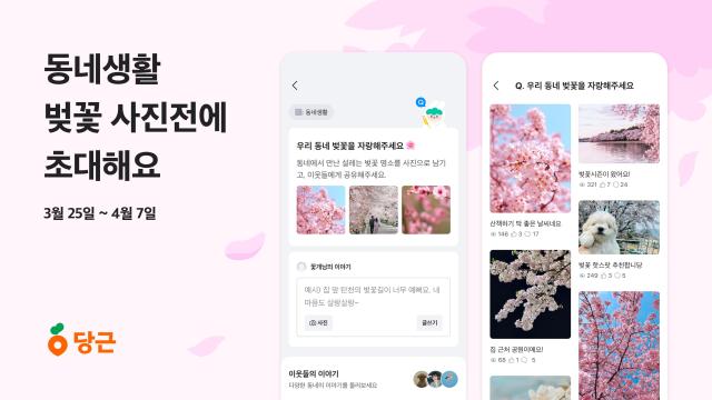 당근 벚꽃 시즌 맞아 ‘동네 벚꽃 사진전’ 개최
