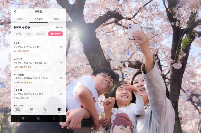 SKT는 25일부터 AI 개인비서 ‘에이닷’에 벚꽃 명소 혼잡도 정보를 추가해 공개한다고 밝혔다사진SK텔레콤
