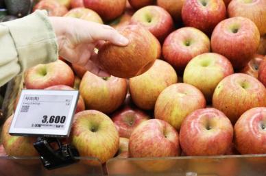 [포토] 세계 1위 한국 사과값