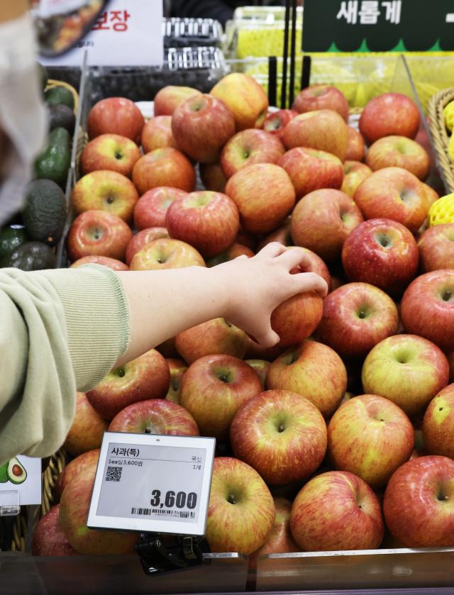 서울 시내 한 대형마트에서 쇼핑객이 사과를 고르고 있다 사진연합뉴스