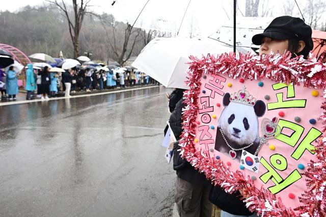 Fans bidding an emotional farewell to the giant panda AJU NEWS DB