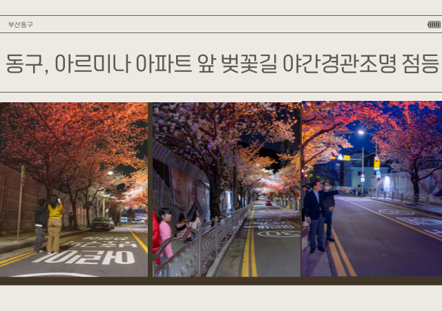 부산 동구는 아르미나 아파트 앞 벚꽃길 180m 구간에 야간경관조명을 설치했다사진부산동구