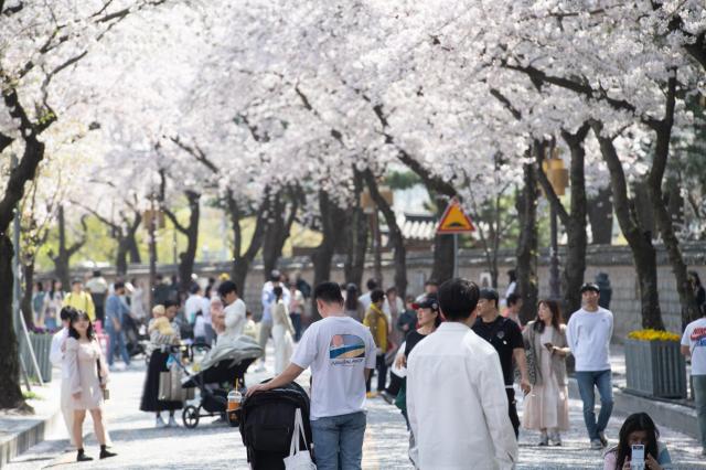 Picnic mats are hot items at convenience stores thanks to cherry blossoms