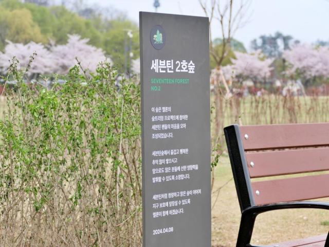 멜론Melon은 응원하는 아티스트의 이름으로 숲을 조성하는 친환경 프로젝트 ‘숲트리밍’을 통해 ‘세븐틴 2호숲’을 서울 난지한강공원에 조성했다 사진은 세븐틴2호숲 사진카카오엔터테인먼트