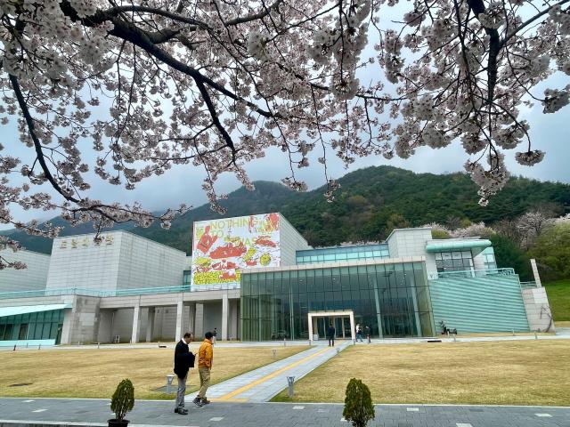 전북도립미술관 인근에 벚꽃이 만개한 모습 사진김다이 기자