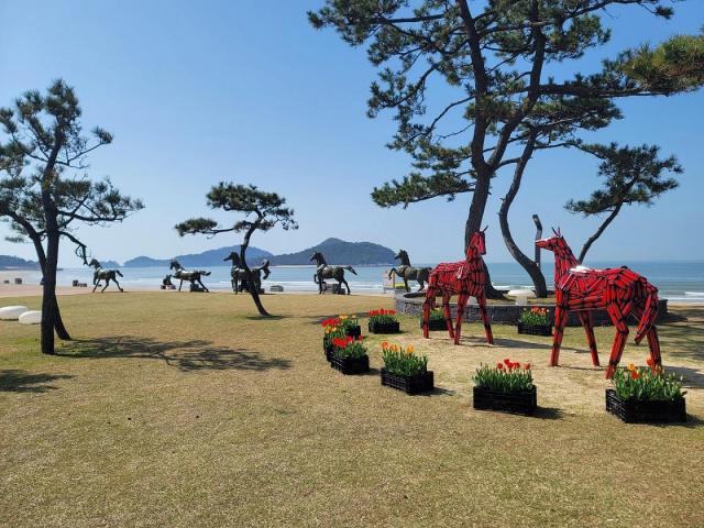 대광해변에 홍매화를 상징하는 붉은색의 말 조각작품 2점이  설치됐다사진신안군