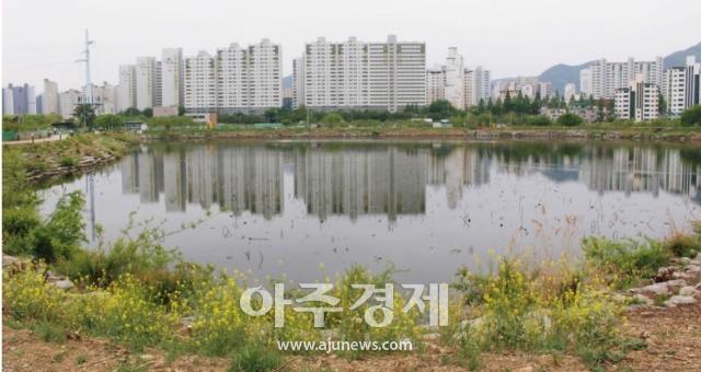 대구 수성구는 매호동 소재 농업용 저수지인 ‘구천지狗泉池’를 ‘매호지’로 바꾸는 안을 주민들의 의견을 수렴하며 수성구 블로그 구천지 사진이다 사진수성구 블로그