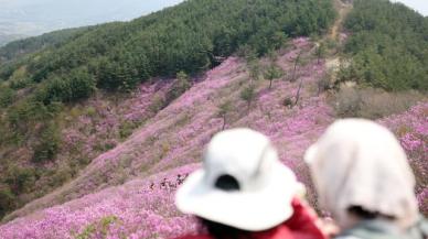 [내일날씨] 전국 흐리고 비…낮 최고 17∼21도