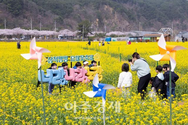 삼척맹방유채꽃축제 행사장 전경사진삼척시