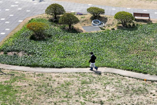 A person takes a walk at Songhyeon Green Plaza in central Seoul on April 12 2024 AJU PRESS Kim Dong-woo