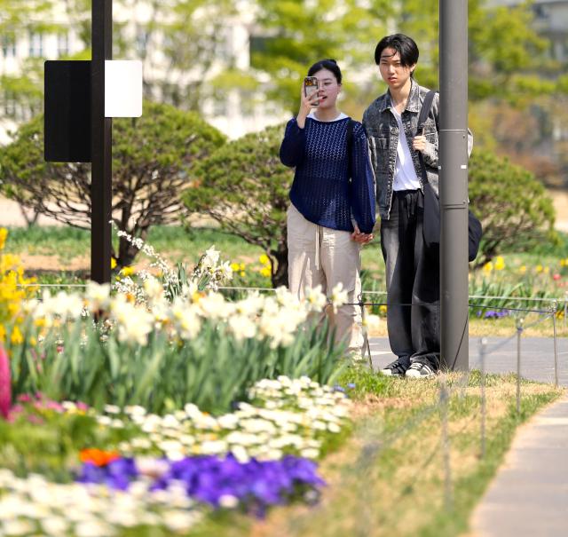 A woman takes a photo of flowers at Songhyeon Green Plaza in central Seoul on April 12 2024 AJU PRESS Han Jun-gu