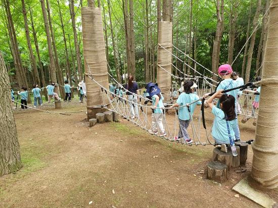 성남시, 숲속 힐링 무료 산림복지 프로그램 2100회 운영