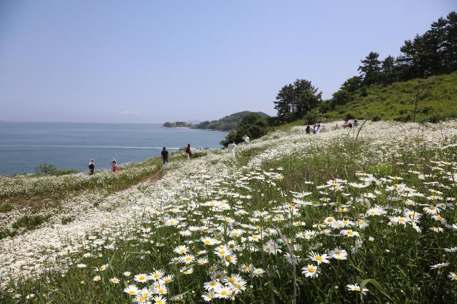 부안군이 변산마실길 1코스인 국립새만금간척박물관변산해수찜 구간과 관련 우회탐방로를 운영한다사진부안군