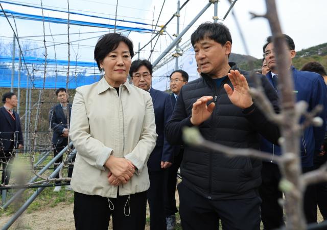 송미령 농림축산식품부 장관이 지난 3일 강원도 춘천시에 위치한 스마트 과수원 실증단지를 방문해 강원도 사과 산업 육성 방안을 점검하고 있다 