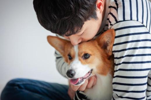 [금사빠의 핀스토리] 카카오페이 펫보험 비교추천 내달 출시…플랫폼 수수료는?