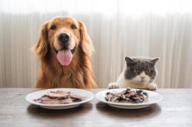 Dongwon F&B, Konkuk University join hands to develop safe pet food