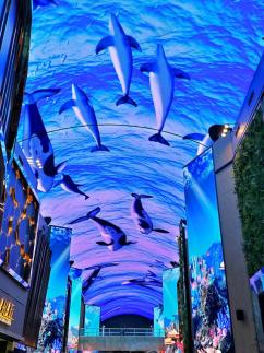 [기수정의 여행 in] 미지와 미식의 세계로…인스파이어서 즐기는 가족여행