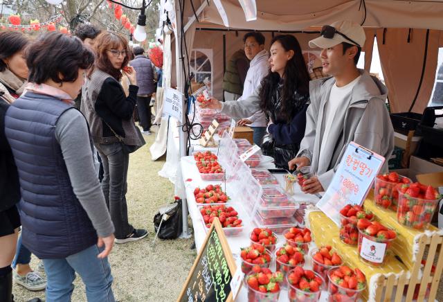2024 논산딸기축제가 열리고 있는 충남 논산시 시민가족공원 일대가 22일 오후 방문객들로 붐비고 있다 사진연합뉴스