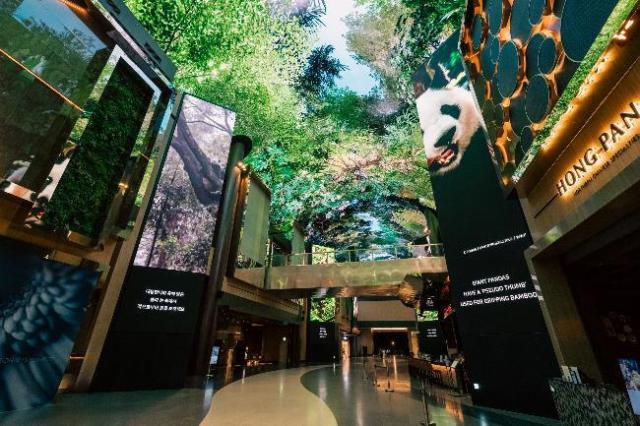 디지털 엔터테인먼트 거리 오로라의 LED 기둥에 등장하는 멸종위기종 호랑이 코끼리 그리고 대왕판다의 모습 사진인스파이어