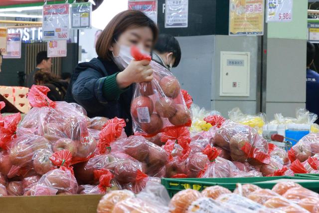 지난 3월 오전 서울 한 대형마트에서 시민들이 저렴한 실속사과를 구매하고 있다 사진유대길 기자 dbeorlf123ajunewscom