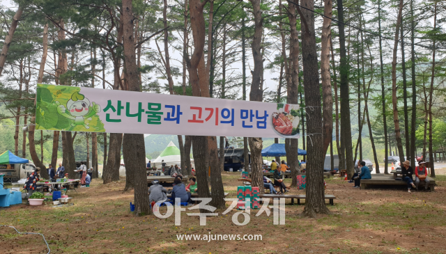 제11회 삼척하장 두타산 산나물축제사진삼척시