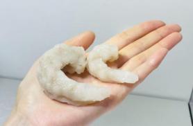 Korea selects four groups for alternative seafood research