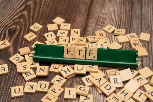 [공시학개론] ETF 투자 전 한 번만…투자설명서 활용법