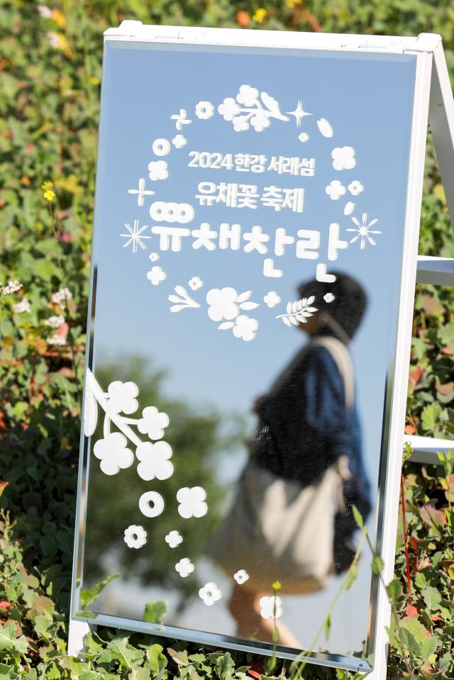A Visitor reflect in the Rapeseed Flower Festival photo zone mirror AJU PRESS Kim Dong-woo