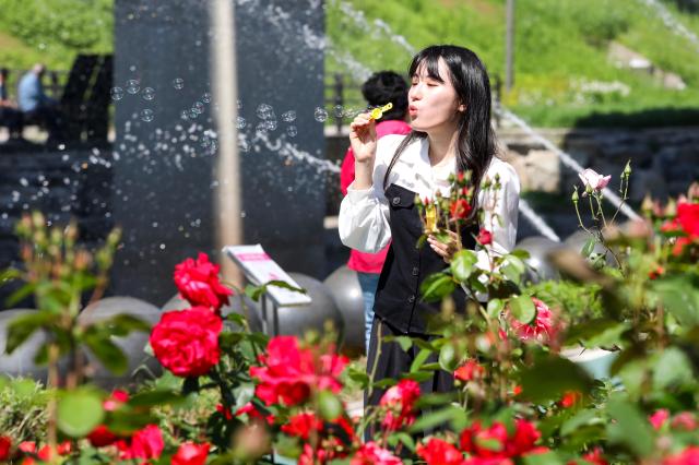 A visitor blew bubbles at the Jungnang Seoul Rose Festival AJU PRESS Kim Dong-woo