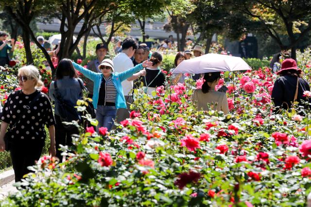 Visitors walk along a trail through rose AJU PRESS Kim Dong-woo