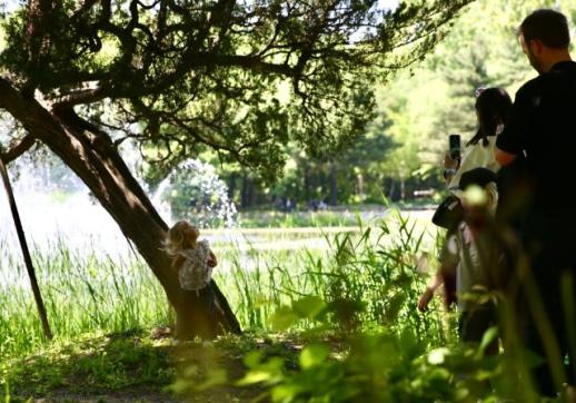 PHOTOS: Seoul Forest offers respite from urban bustle