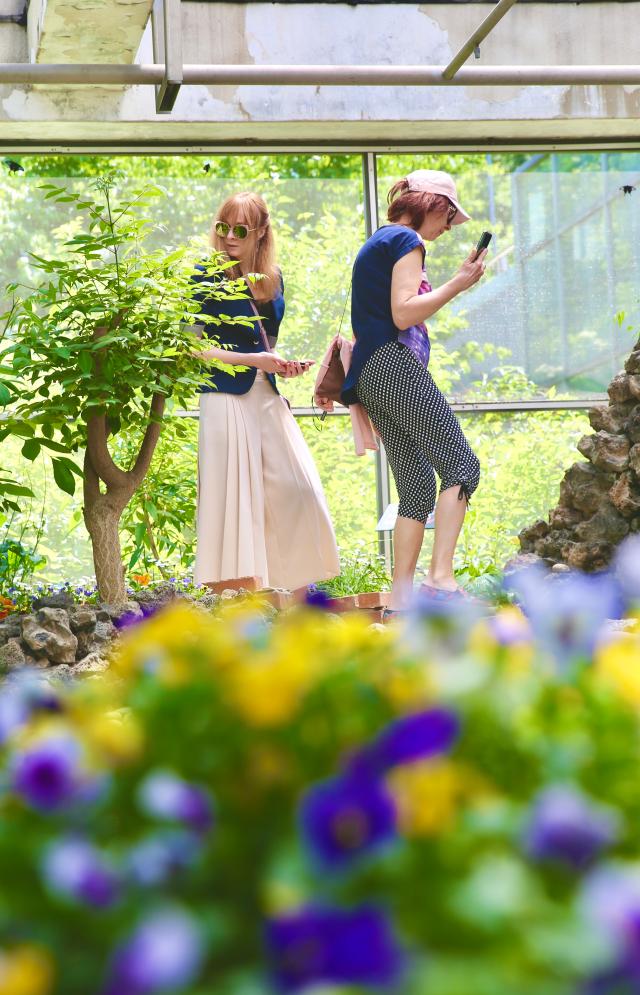 Two women look around the botanical gardens at Seoul Forest