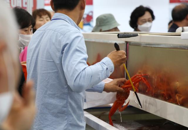 A visitor takes out a red crab at the Seoul Seafood Show at COEX on May 16 2024 AJU PRESS Han Jun-gu