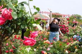 PHOTOS: Seoul Intl Garden Show underway at Han River park