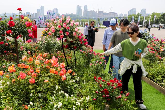 Visitors walk along a garden through flowers AJU PRESS Kim Dong-woo