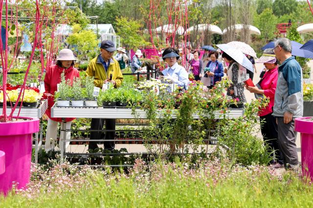 Visitors look at the flowers on display for sale AJU PRESS Kim Dong-woo