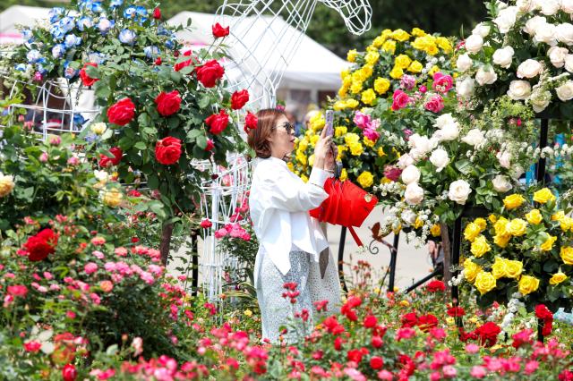 Visitor take photos at Seoul International Garden Show AJU PRESS Kim Dong-woo