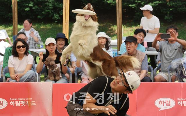 사진사진공동취재단