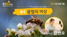 KB금융, 세계 벌의 날 맞아 꿀벌의 비상 영상 공개