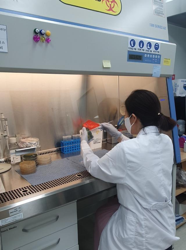 경기도, 서해안서 올해 첫 비브리오패혈증균 검출