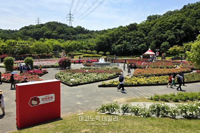 장미축제가 열린 지난 23일 울산대공원에 장미가 만개한 모습 사진성상영 기자