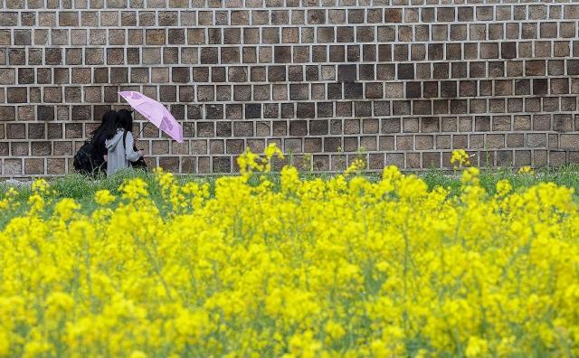 서울 전역에 비가 내린 지난 7일 오후 서울 종로구 송현동공원 인근에서 시민들이 우산을 쓰고 이동하고 있다 사진연합뉴스
