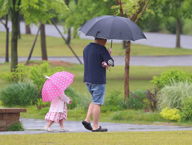 지난 6일 경기 과천 서울대공원에서 한 아이가 우산을 쓰고 아빠를 쫓아가고 있다  사진연합뉴스