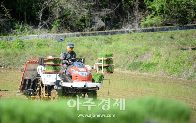 강원 화천군 모내기 영농대행 서비스사진화천군